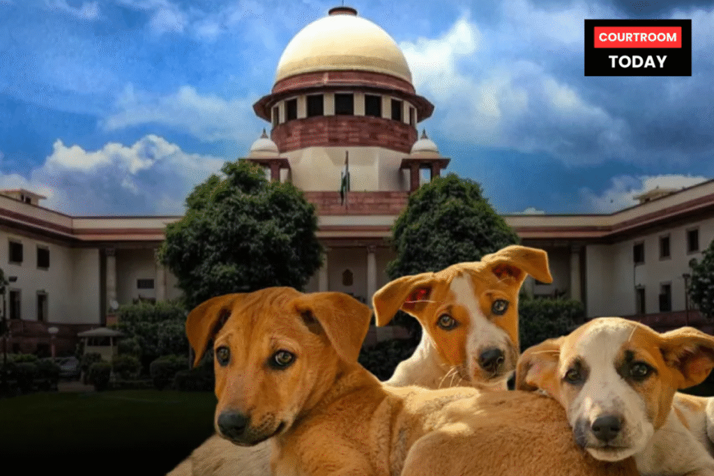 Supreme Court Declines Urgent Hearing on Plea Against MCD’s Stray Dog Action
