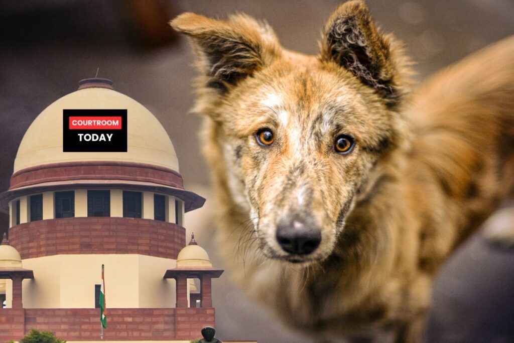 Supreme Court and Stray Dogs