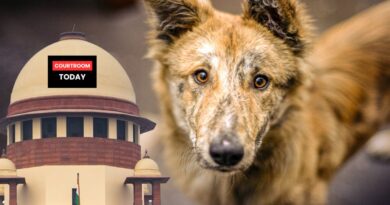 Supreme Court and Stray Dogs