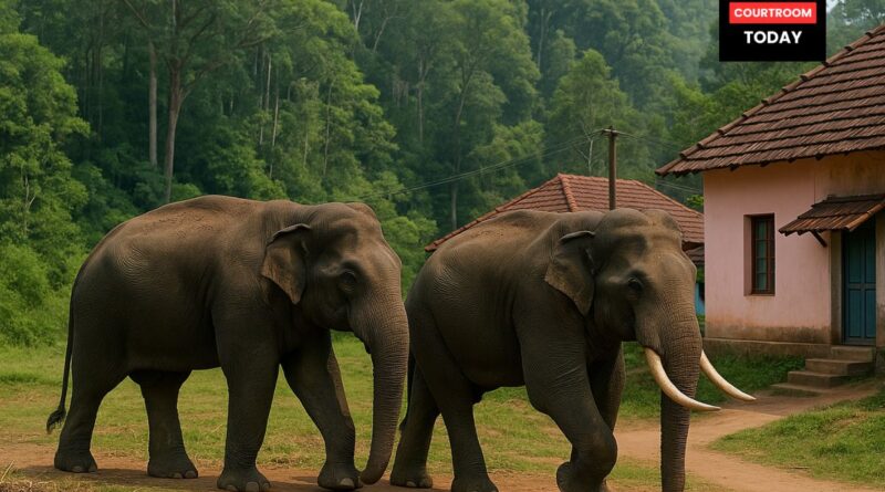 Kerala Becomes First State to Amend Wildlife Protection Act to Tackle Human Animal Conflict
