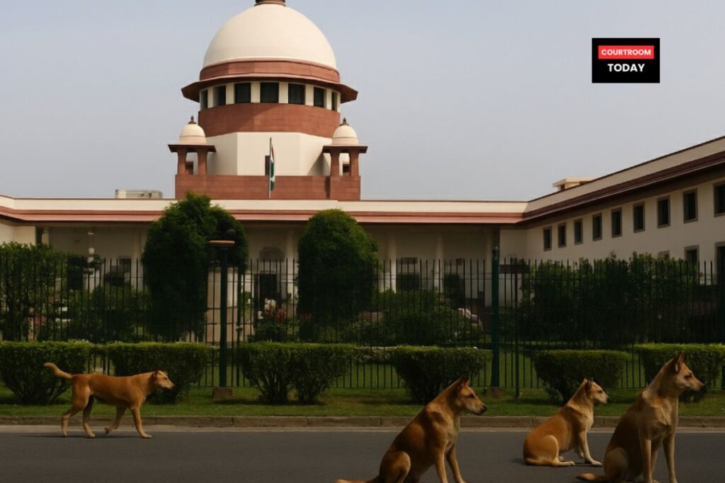 Supreme Court and Stray Dogs