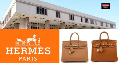 Delhi High Court Designates Birkin Bag Shape and Hermes Logos as Well Known Trademarks