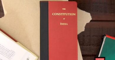 Mini Constitution