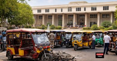 Delhi HC Seeks Govt Reply on PIL Highlighting Unsafe and Speeding E Rickshaws