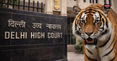 Delhi High Court ‘Tiger Is a Generic Word No Exclusive Trademark Rights