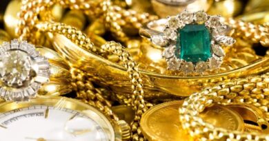 Kerala High Court Rejects Bail Pleas in Sabarimala Gold Theft Case